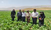 اجرای طرح یاوران تولید در شهرستان کیار