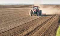 اجرای طرح جهش تولید در ۶۰ هزار هکتار از دیمزارهای چهارمحال و بختیاری