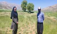 رصد و پایش مزارع روستای چنار محمودی شهرستان لردگان 