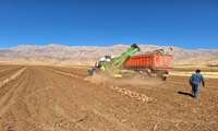 کیل گیری از مزرعه چغندرقند جهت انتخاب کشاورز نمونه بخش کشاورزی در شهرستان اردل