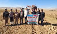کیل گیری از مزرعه چغندرقند در شهرستان شهرکرد