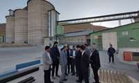 بازدید دکتر علی محمد لطیفی معاون سلامت سازمان پدافند غیرعامل کشور از کارخانه آرد  کیار با هدف بازدید از روند تهیه آرد خبازی و ذخایر آرد 