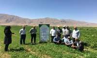 برگزاری کارگاه آموزشی اصول زراعت لوبیا در شهرستان فرخشهر 