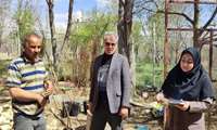 بازدید از جایگاه‌های توزیع نهال در شهرستان سامان