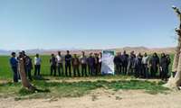 برگزاری ۲ مورد مدرسه در مزرعه در کانون یادگیری طرح دستیابی به پتانسیل عملکرد گندم آبی در شهرستان شهرکرد
