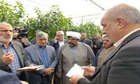  بازدید از مجتمع گلخانه ای و سایت گیاهان دارویی در سفید دشت شهرستان بروجن