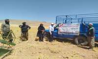 کیل گیری مزارع گندم دیم طرح پتانسیل عملکرد در  شهرستان بروجن