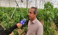 تبریک به مناسبت افتتاح گلخانه سبزی و صیفی در روستای کریم‌آباد اردل! 