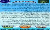موج سرما و توصیه‌های دامپزشکی به دامداران، مرغداران و زنبورداران