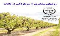 روشهای پیشگیری از سرمازدگی در باغات 
