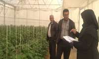بازدید از گلخانه های سطح شهرستان  کیار در راستای مصرف بهینه انرژی