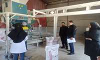  گشت مشترک برای نظارت بر کیفیت تولید آرد از کارخانه آرد کوهرنگ انجام شد