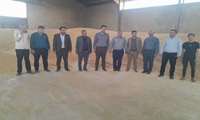 بازدید مسئولان استانی و شهرستانی از مرکز خرید تضمینی گندم خانمیرزا