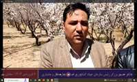 سخنان رئیس سازمان جهاد کشاورزی استان چهارمحال و بختیاری  پس از بازدید و بررسی میدانی باغات شهرستان سامان