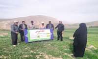  برگزاری کارگاه آموزشی اصول تغذیه گیاهی در دیمزارها در شهرستان کیار