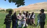 برگزاری کارگاه آموزشی داشت غلات و حبوبات دیم در شهرستان کیار