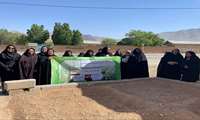 کارگاه آموزشی «ایجاد باغچه سلامت خانگی» ویژه بانوان روستایی در شهرستان کیار برگزار شد