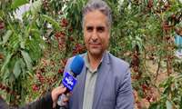 افزایش بهره‌وری و تنظیم بازار با توسعه تولیدات گلخانه‌ای در چهارمحال و بختیاری