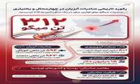 اینفوگرافیک؛ رکورد تاریخی صادرات آبزیان در چهارمحال و بختیاری