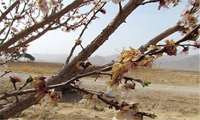 احتمال مخاطره سرمازدگی در چهارمحال و بختیاری برای پنجشنبه