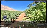  توسعه بادام‌کاری دیم 