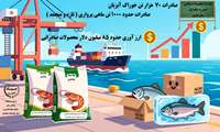 نه ماهه ۱۴۰۴؛ دریچه‌ای به افتخار ملی
