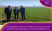 بازدید از مزارع هسته بذری مرکز تحقیقات و آموزش کشاورزی چهارمحال و بختیاری