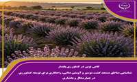 گامی نوین در کشاورزی پایدار