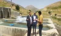 مهندسی زنجیره ارزش شیلات؛ خیز چهارمحال و بختیاری برای تولید ۱۰۰۰ تن ماهی با الگوی کشت قراردادی