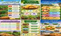 سیب‌زمینی یکی از مهم‌ترین محصولات مناطق سردسیر و کوهستانی ایران 