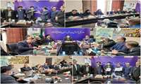 کاشت 10 میلیون درخت در چهارمحال و بختیاری