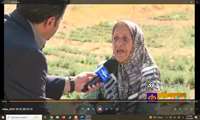 فعالیت 7000 بانوی چهارمحال و بختیاری در بخش کشاورزی