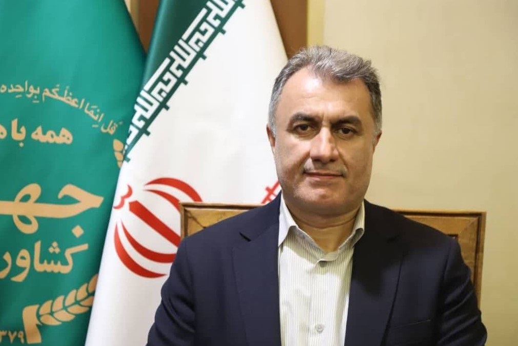 خوداتکایی مالی اولویت اصلی مدیریت ریسک کشاورزی است