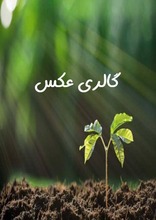 گالري عكس 