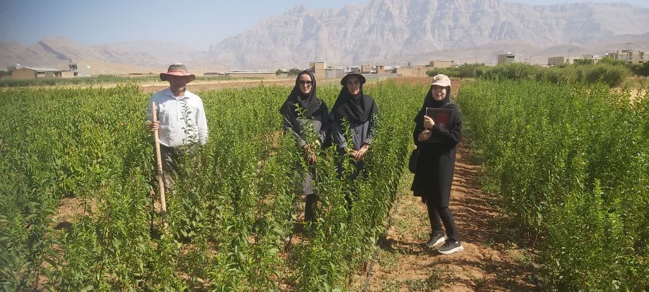 تداوم پایش تخصصی نهالستان‌های چهارمحال و بختیاری برای تولید نهال سالم