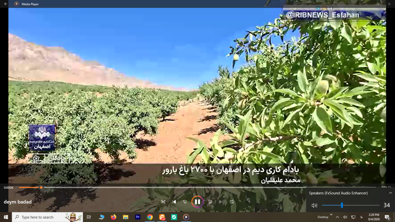  توسعه بادام‌کاری دیم 