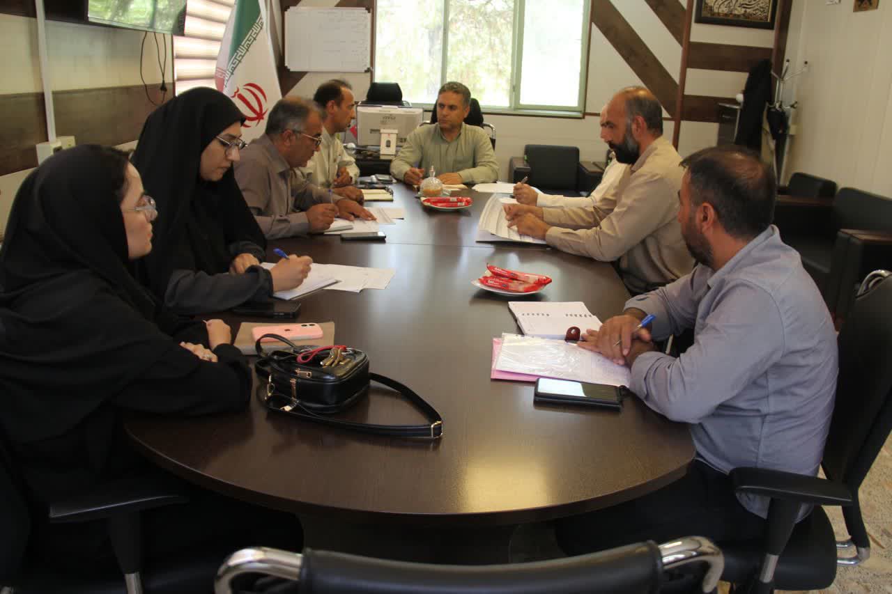 خیز بلند چهارمحال و بختیاری برای کشتِ موفق/ استقرار نظامِ دقیقِ نظارت بر تأمین بذر سال زراعی پیش‌رو