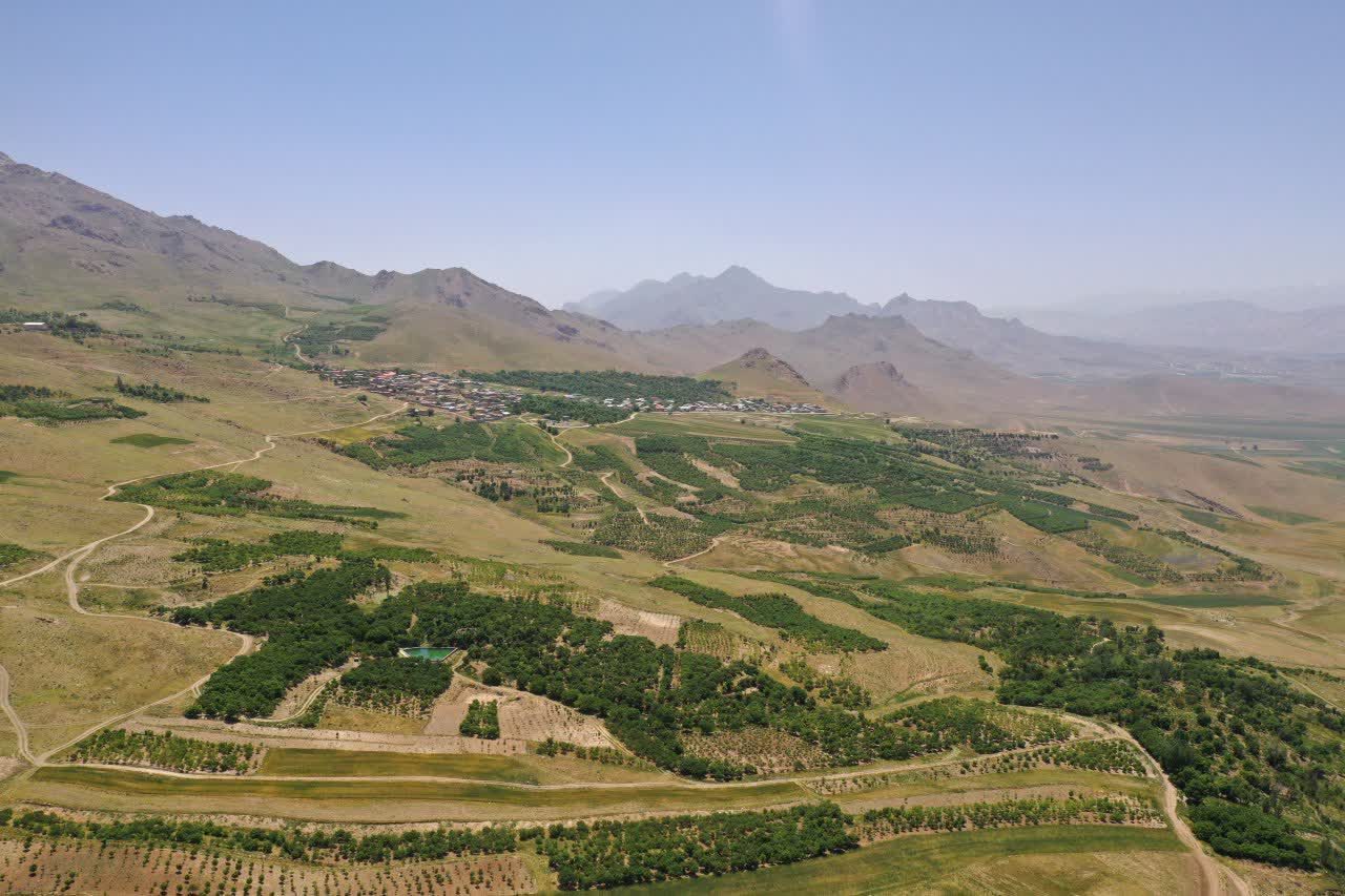 وجود بیش از ۵۰ هزار هکتار باغ در جهارمحال و بختیاری مزیتی برای اشتغال و اقتصاد پایدار