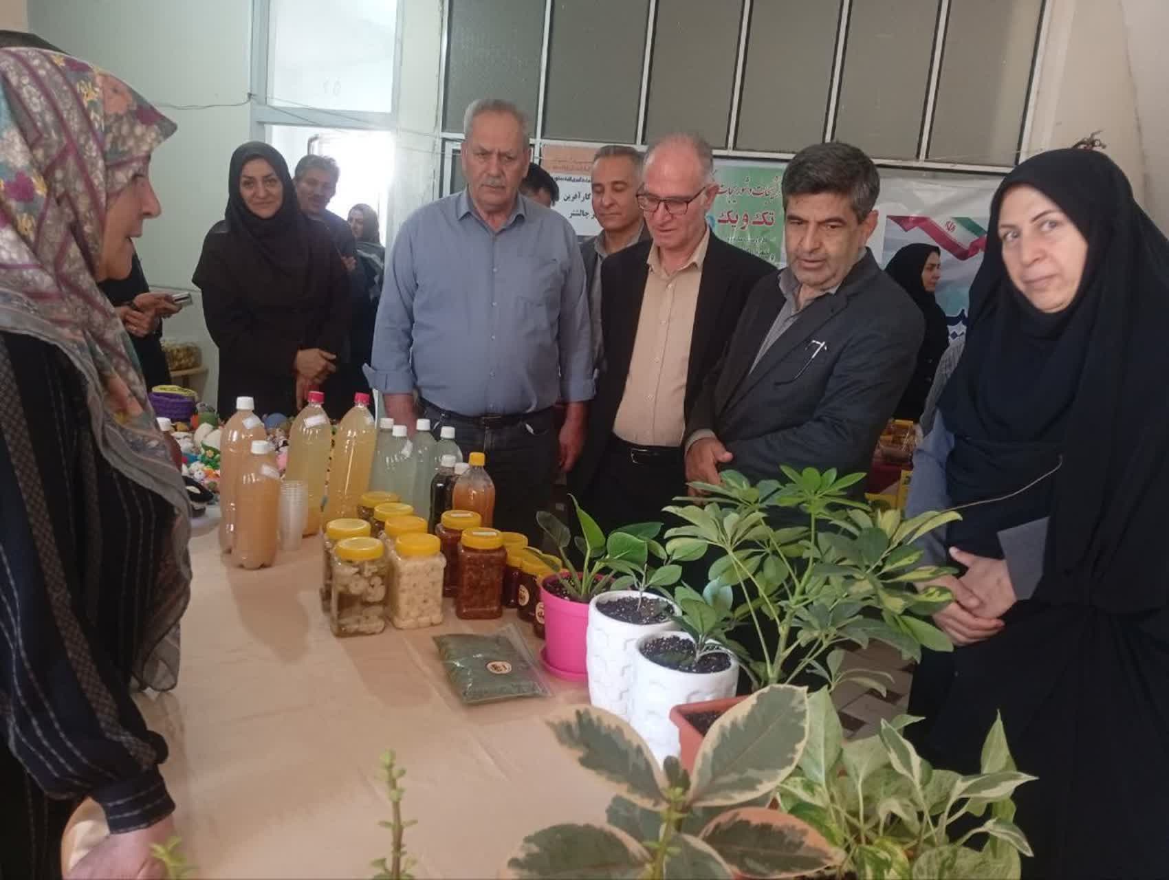 افتتاح نمایشگاه صنایع دستی و تولیدات کشاورزی در مدیریت تعاون روستایی استان 