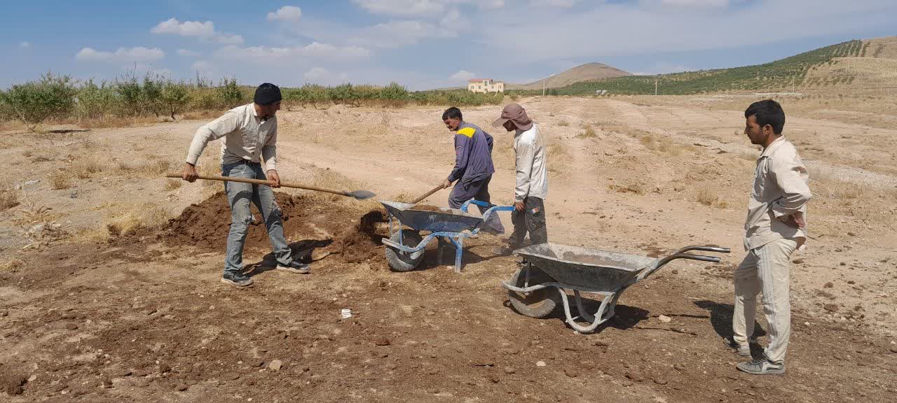  آینده باغات بادام زاگرس در دست این ۱۵ ژنوتیپ! 